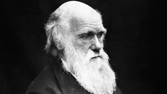 Charles Darwin na univerzitě předsedal Klubu žroutů, kde byly na jídelníčku neobvyklé druhy zvířat