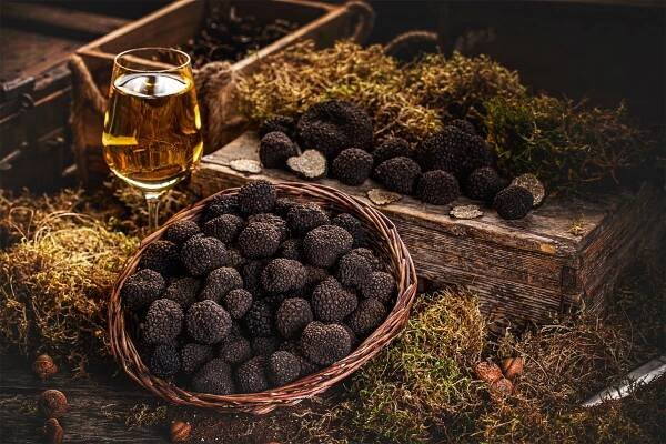 dalla terra al gusto | from farm to taste