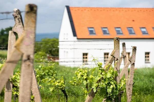 Zahrada ubytování Penzion Nad Pavlovem