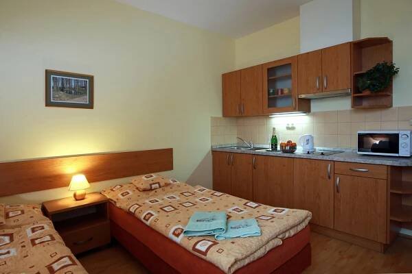 ctyrluzkovy-apartman-s-balkonem-02