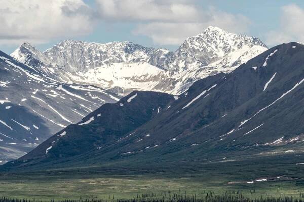 Blog: Expectorations, Stories, and Lies — Mountain Dinosaur