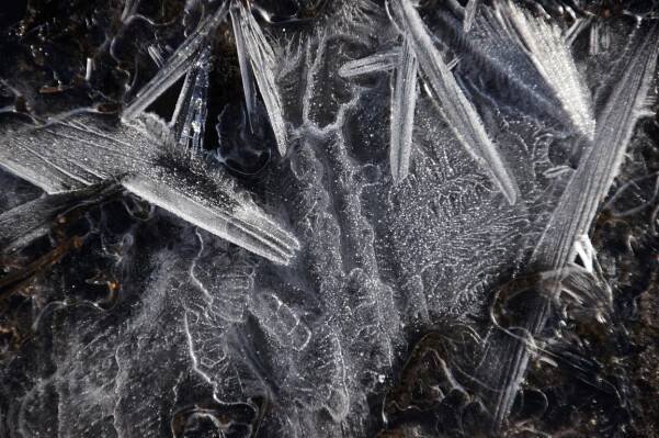 snow crystal