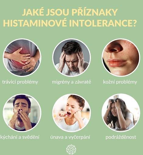 infografika HIT priznaky
