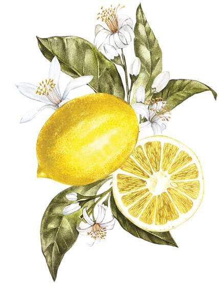 citrus: lemon & petitgrain - COLABO