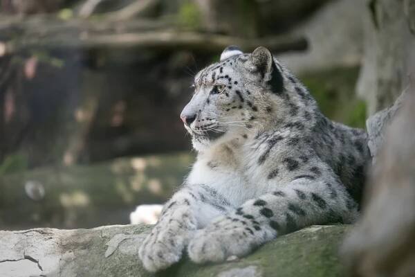 Fotografický 6hodinový kurz v brněnské nebo ostravské zoo: voucher pro 1-2 osoby