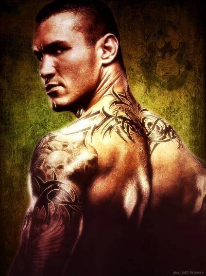 40 Randy Orton Images