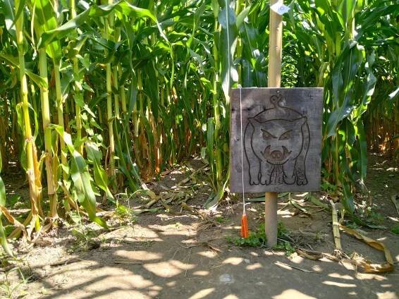 Corn Mazes - Basel Life