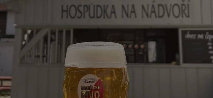 RESTAURACE — AKCIOVÝ PIVOVAR DALEŠICE, a.s.