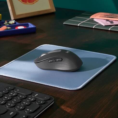 Logitech 910-006253 myš Kancelář Pro praváky Bluetooth Optický 4000 DPI