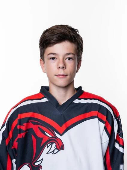 HC Česká Lípa | Milan Pechek