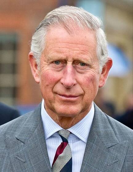 Pin by Gaylynne Fell on 100 Faces in 2025 | Prince charles, King charles, Charles