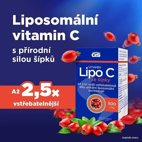 GS Vitamin Lipo C 500mg se šípky 100 kapslí