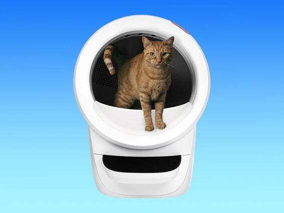 Whisker Litter-Robot 4 review 2025
