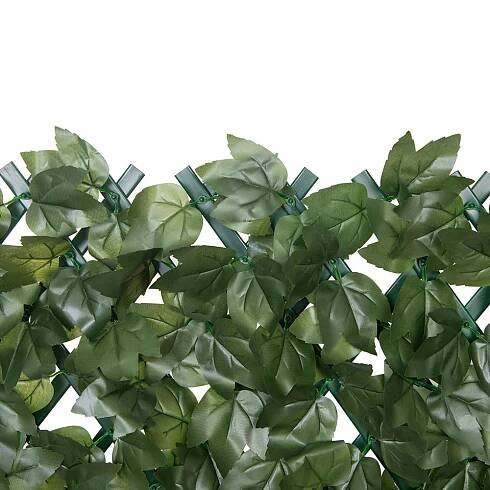 Green PVC Expandable Trellis 36" X 72" Ivy Leaf - Image 5