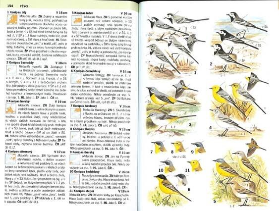 BARTHEL P. & DOUGALIS P., 2011: Ptáci Evropy. Určovací atlas. Nakladatelství Ševčík. – birdwatcher.cz