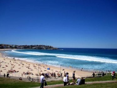 Bondi Beach Babes & Sydney Swans