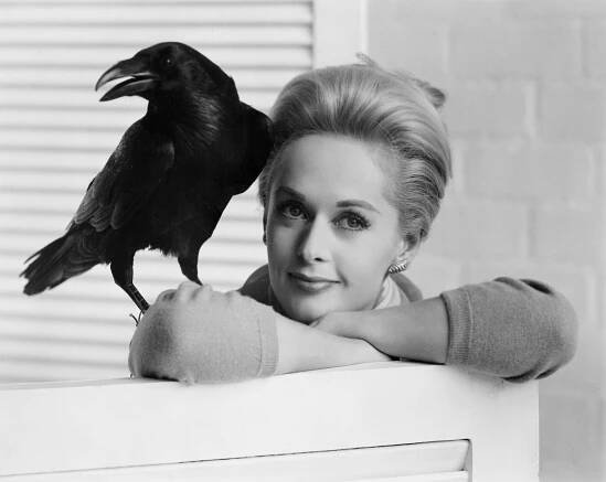 Tippi Hedren fotka