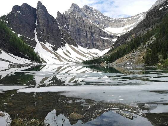 bezplatná Základová fotografie zdarma na téma Alberta, alpský, banff Základová fotografie