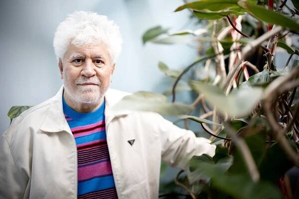 Pedro Almódovar.