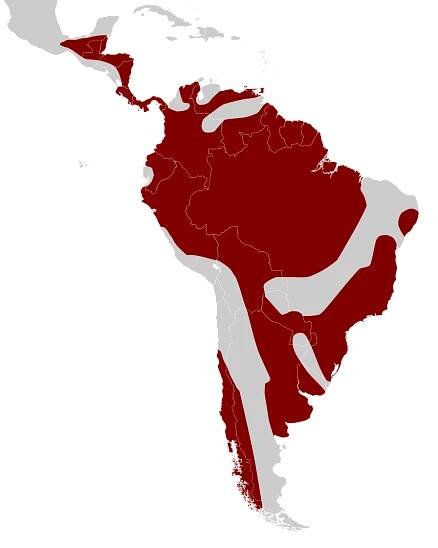 Soubor:Cotingas (Cotingidae) area.svg – Wikipedie