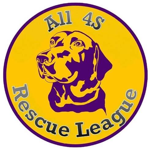 All 4s Rescue League