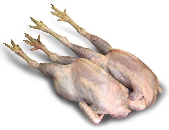 Boiling Fowl