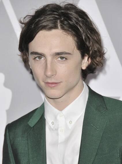 'The King': Timothee Chalamet To Play Henry V In David Michod's Netflix Movie