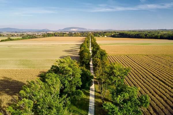 14.1B Allee Eckartsau DJI 0618 RupertPessl Web
