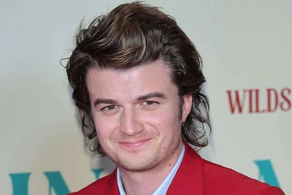 Joe Keery attends the premiere of 