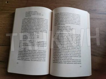 Kniha Tankový prapor - fragment z doby kultů - Trh knih - online antikvariát