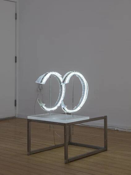 Sculptures by Lizzie Wright, photograph by Zach Hyman