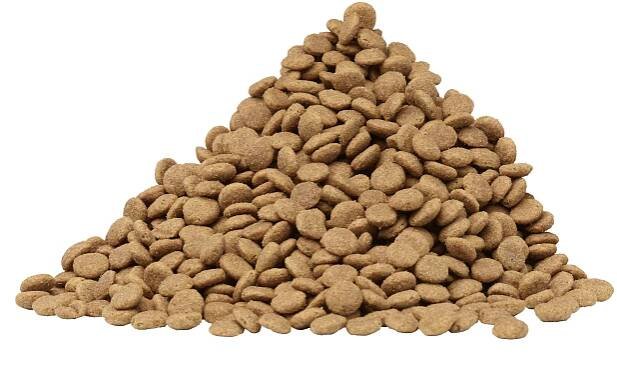 Granuly – kompletné suché krmivo pre psy s lososom 14 kg