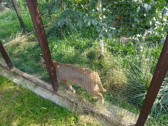 ZOOPARK Stěžery