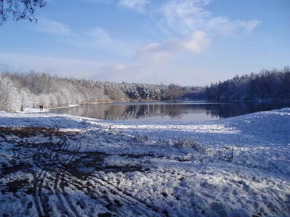 Biřička (Nový Hradec Králové)