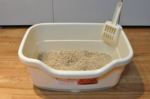 Litter box