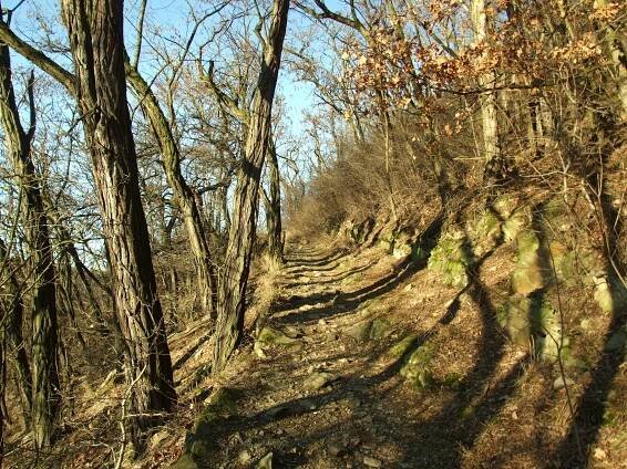 Soubor:Praha, Vokovice, Tichá Šárka, Vizerka, cesta k vyhlídce.JPG
