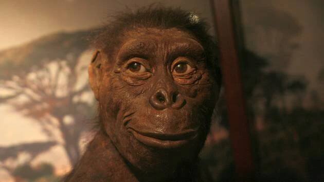 Nejslavnější samice hominida Australopithecus afarensis Lucy