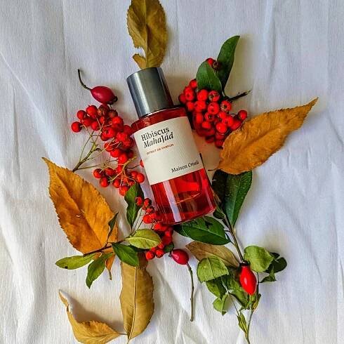 Hibiscus Mahajád Maison Crivelli pro ženy a muže