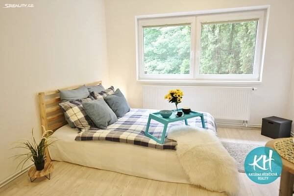 Pronájem bytu 1+kk 24 m², Rakovecká, Brno - Bystrc