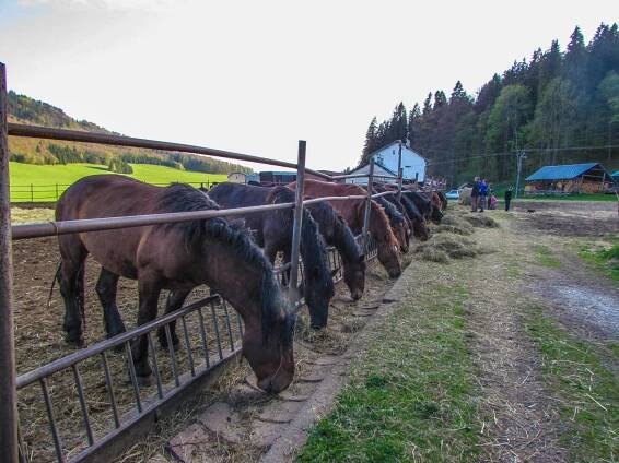 Túra: Prechod opustenej Rudnej magistrály | HIKING.SK