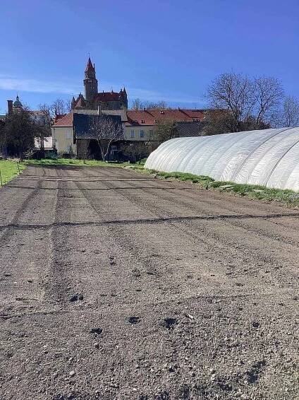 Do olomoucké prodejny dodává od května do listopadu čerstvé květiny rodinné zahradnictví z Bouzova.