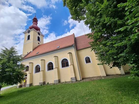 V Horní Pěně je možné adoptovat lva