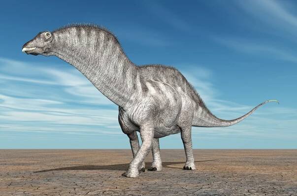 Diplodocus: Steckbrief & 7 Merkmale des Dinosauriers » schreiben.net