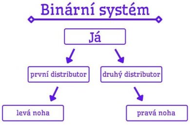 MLM binární systém (co to je)