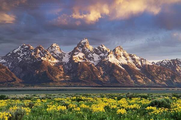 Sunrise over the Teton Range from Antelope Flats, Grand Teton National Park Wyoming #52091