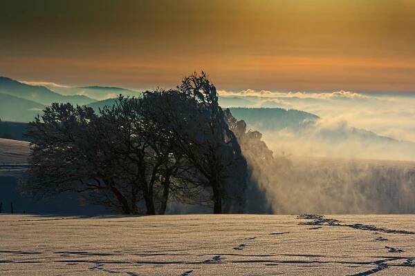 GL-ART-PHOTOGRAPHY - Landscape