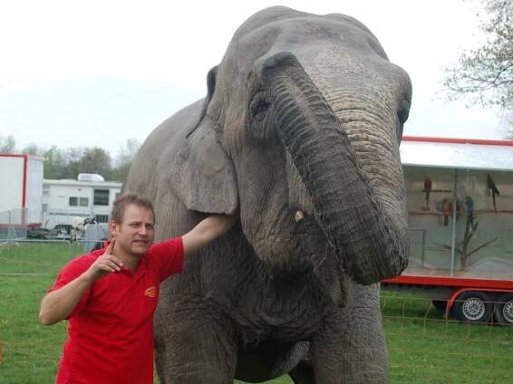 Na přerovské výstaviště přijel cirkus Berousek