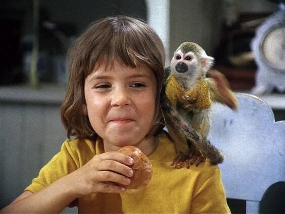Pipi Dlouhá punčocha - Pipi a spunk (S01E09) (1969)