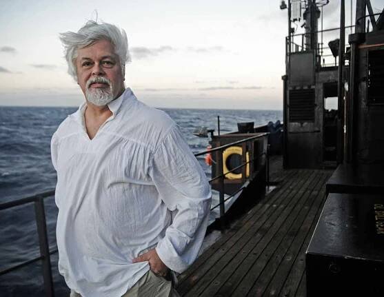 The Battle for Paul Watson | Ecohustler