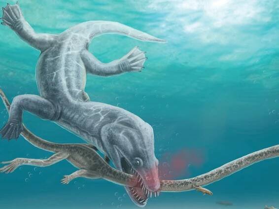 Enormous 240 million-year-old sea monster had its head torn off in one clean bite